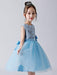 Baby Blue Flower Girl Dresses Jewel Neck Sleeveless Bows Tulle Polyester Kids Party Dresses