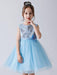 Baby Blue Flower Girl Dresses Jewel Neck Sleeveless Bows Tulle Polyester Kids Party Dresses