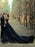 Black Wedding Dresses Tulle A-Line V-neck Long Sleeves Backless Natural Waist Lace Royal Train Bridal Gown