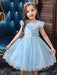 Blue Teenage Girls Dress Summer Children Party Elegant Princess Long Tulle Baby Girls Kids Lace Wedding Ceremony Dresses