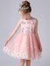 Champagne Color Flower Girl Dresses Jewel Neck Sleeveless Short Princess Lace Flowers Formal Kids Pageant Dresses