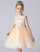 Champagne Color Flower Girl Dresses Jewel Neck Sleeveless Short Princess Lace Flowers Formal Kids Pageant Dresses