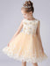 Champagne Color Flower Girl Dresses Jewel Neck Sleeveless Short Princess Lace Flowers Formal Kids Pageant Dresses