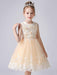 Champagne Color Flower Girl Dresses Jewel Neck Sleeveless Short Princess Lace Flowers Formal Kids Pageant Dresses