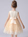 Champagne Color Flower Girl Dresses Jewel Neck Sleeveless Short Princess Lace Flowers Formal Kids Pageant Dresses