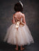 Flower Girl Dresses Champagne Princess Lace Straps Flower Sash Tulle Tea Length Toddler's Tutu Dress