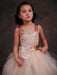 Flower Girl Dresses Champagne Princess Lace Straps Flower Sash Tulle Tea Length Toddler's Tutu Dress