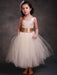 Flower Girl Dresses Champagne Princess Lace Straps Flower Sash Tulle Tea Length Toddler's Tutu Dress