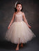 Flower Girl Dresses Champagne Princess Lace Straps Flower Sash Tulle Tea Length Toddler's Tutu Dress