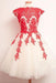 Knee Length Lace Applique Short Tulle Prom A Line Ivory Homecoming Party Dresses - Prom Dresses