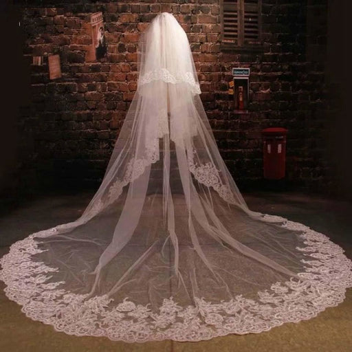 Wedding Bridal Veil Cathedral Length Veils with Appliques Wedding