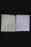 Lace Edge Ivory Appliqued Long Wedding Veils | Bridelily - Ivory / 300cm - wedding veils