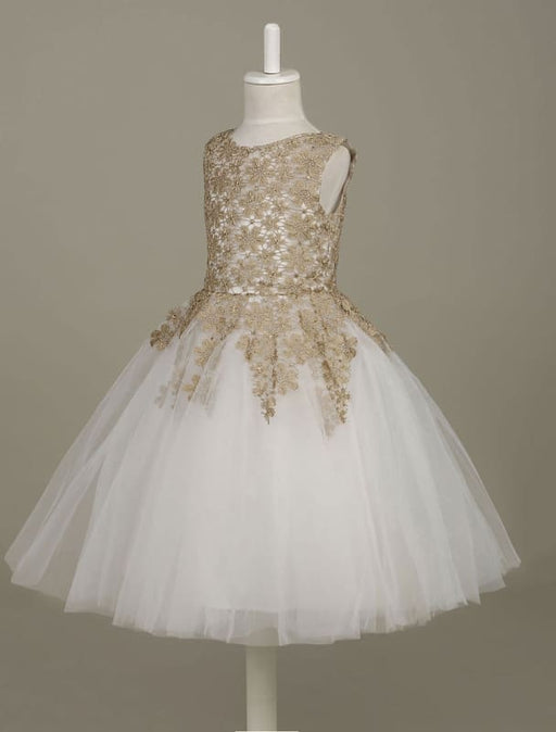 Flower Girl Dress Lace Light Gold Tutu Dress Sleeveless A Line Knee Length Toddler's Pageant Dress