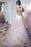 Light Pink V-neck Sleeveless Sweep Train Lace Top Tulle Wedding Dress - Wedding Dresses