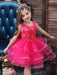 Flower Girl Dresses Jewel Neck Tulle Sleeveless Knee Length Princess Silhouette Beaded Kids Party Dresses