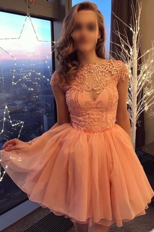 Embroidery Mesh Cap Sleeve Short Prom Dress Fioridi Short-Sleeve Embroidered Mesh Midi Prom Dress YesStyle Embroidery Mesh Cap Sleeve Short Prom Dress Fioridi Short-Sleeve Embroidered Mesh Midi Prom Dress YesStyle