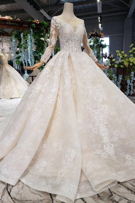 Princess Sleeves Sheer Neck Ball Gown Lace Long Wedding Dress - Wedding Dresses