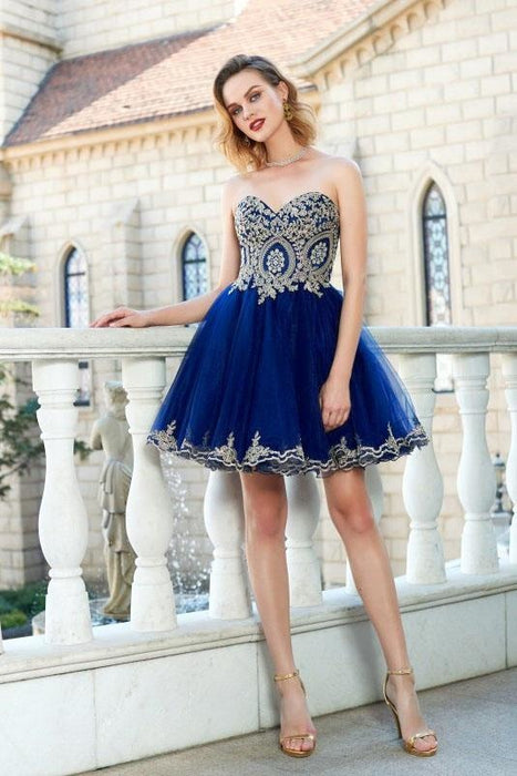 Royal Blue Princess Sweetheart Sleeveless Applique Mini Tulle Homecoming Dresses - Prom Dresses