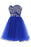 Royal Blue Tulle Sleeveless Prom Homecoming Dress - Prom Dresses