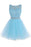 Scoop Short Blue Zipper-up Tulle Prom Homecoming Dresses - Prom Dresses