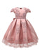 Flower Girl Dresses Jewel Neck Lace Short Sleeves Knee-Length Kids Social Party Princess Dresses