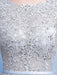 Silver Prom Dress Tulle Backless Party Dress Lace Applique A Line Occasion Dress With Train