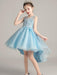 Flower Girl Dresses Jewel Neck Sleeveless Embroidered Formal Kids Pageant Dresses