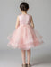 Flower Girl Dresses Jewel Neck Sleeveless Embroidered Kids Social Party Dresses