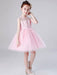 Flower Girl Dresses Jewel Neck Tulle Sleeveless Knee Length Princess Silhouette Embroidered Kids Social Party Dresses