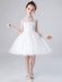 Flower Girl Dresses Jewel Neck Tulle Sleeveless Knee Length Princess Silhouette Embroidered Kids Social Party Dresses
