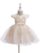 Flower Girl Dresses V Neck Short Sleeves Flowers Kids Party Dresses